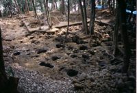 【Ruins of Hario castle: Ruis Frois introduced it in 16th century】 【ルイス・フロイスも書いた針尾城を知っていますか？】