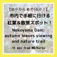 【紅葉狩り】毎日でもOK！市内で手軽に行ける紅葉＆散策スポット【させぼ】Nekoyama Dam: Great for walks & autumn leaves viewing【Sasebo】