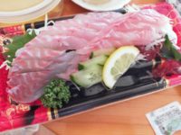 Sashimi 101: How to Eat Raw Fish & Delicious Fishes in Sasebo : Naoko-sensei’s Japanese Recipe No. 29【なおこ先生の日本料理 29】外国人向け！刺身の食べ方と佐世保でおいしい魚｜英語レシピ