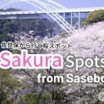 10 Best Sakura (Cherry Blossoms) Spots From Sasebo in 2026| 佐世保から行く花見スポット 2026年版【長崎・佐賀】