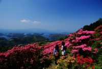 Must-See Spot: Azalea on Nagushi-yama and Northern Kujukushima|佐世保の絶景：長串山のツツジと北九十九島(英語の解説付き）