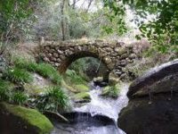 【秘境！】Mystical Stone bridges in Sechibaru, Sasebo 世知原地区：魅惑の石橋群！