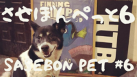 【させぼんぺっと６】ブルブルする犬 － スローモーション PEG THE JAPANESE DOG shaking in slow motion【SasebonPets #6】