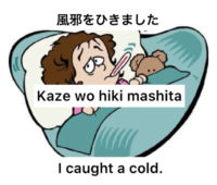 「風邪を引きました」って英語でなんて言う？ How to say “I caught a cold” in Japanese