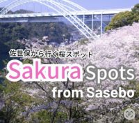 10 Best Sakura (Cherry Blossoms) Spots From Sasebo in 2026| 佐世保から行く花見スポット 2026年版【長崎・佐賀】